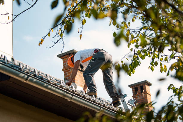 Best Metal Roofing Contractor  in Clearlake Oaks, CA